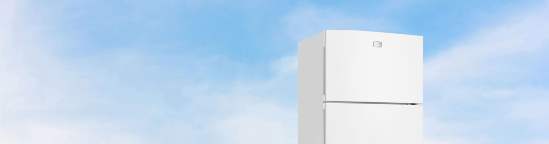 Top Mount Fridges | Products