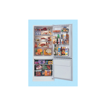 Fridges-NB400H-2210